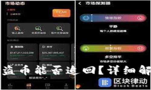 TP钱包被盗币能否追回？详细解析与指导