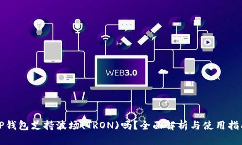 TP钱包支持波场(TRON)吗？全面解析与使用指南